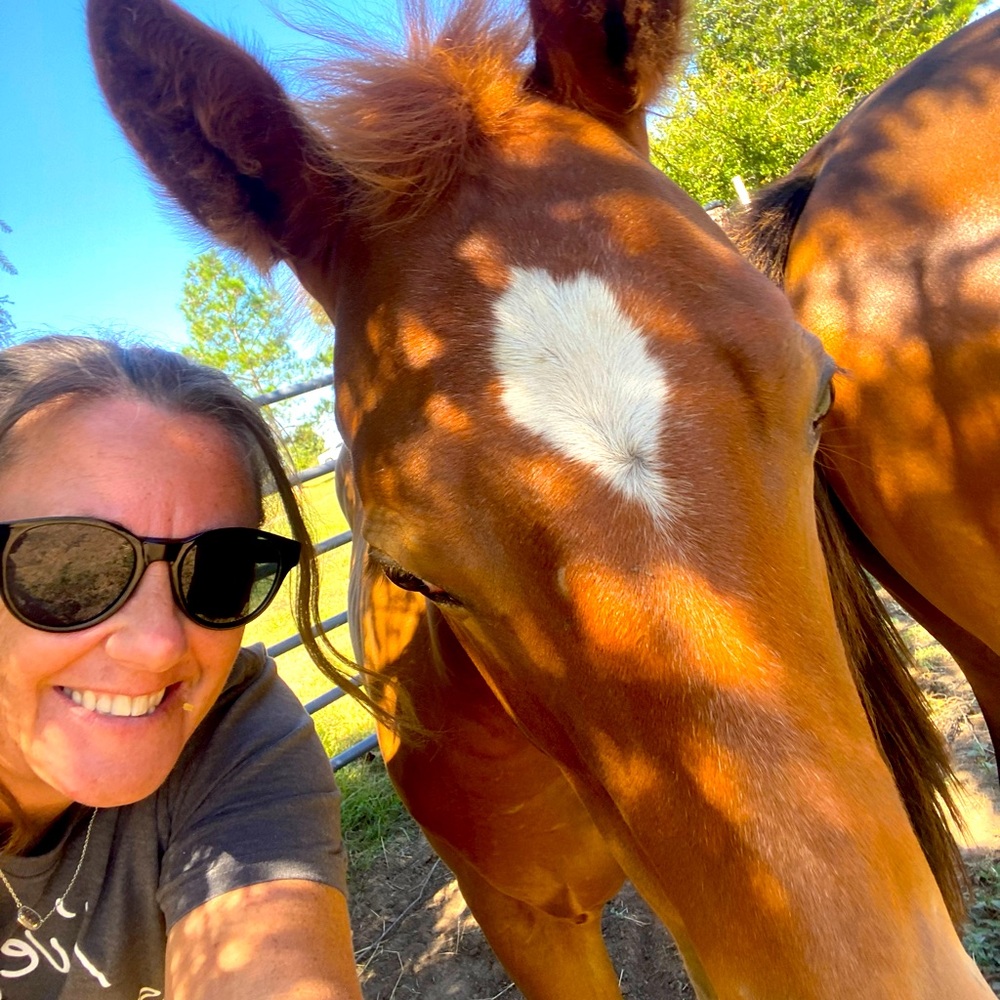 Meet your Posher, Darla rollins